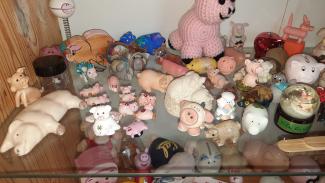 collection de cochons